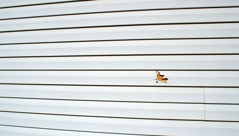 Skilled Vinyl Siding Repair